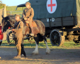 The Great Dorset Steam Fair