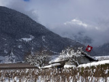 Swiss flag in the vineyards