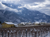 Wine growing village