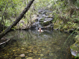 cool off in a bush stream