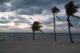 Islamorada - Ocean side