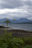 _IGP4456.jpg