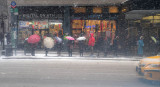Umbrellas in the Snow