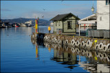 Bergen harbour.........