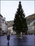 Silver man and the tree......