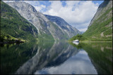 From the Nryfjord,Sogn og Fjordane county.....