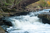 Autumn Rapids