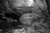 Creek Bridge