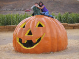 Giant pumpkin