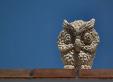 Vulcano Owl shop decoration