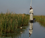 Okavango_Mokoro and poler
