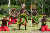Traditional dance performance