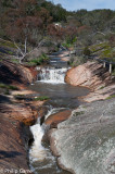 At Spring Creek Bridge, Beechworth