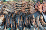 Grilled fish stall, Kratie