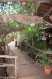 Tree Top Eco Lodge at Ban Lung
