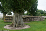 A German bunker within Tyne Cot Military Cemetery