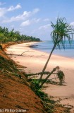 Putjamirra Beach, Tiwi Islands, NT