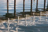 Reflections at Port Albert