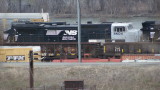 NS 8504.JPG