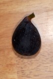 2007 Main Crop