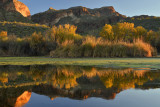AZ - Salt River Fall Color Reflection 4