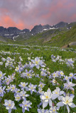 CO - American Basin - Sunset 1