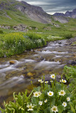 CO - American Basin Creek 2