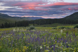 CO - Crested Butte - Wildflower Sunset
