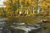 Elk River 12.jpg