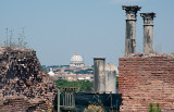 St. Peters Dome from Palatine Hill