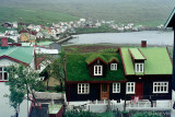 Srvagur