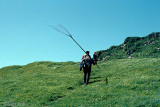 On the way to catch Puffins - Op weg om Papegaaiduikers te vangen