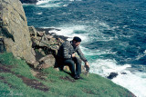 Catching Atlantic Puffins - Papegaaiduikers vangen