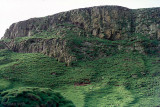 Atlantic Puffin burrows- Papegaaiduiker nestholen