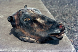 Sheeps head - Schaapskop