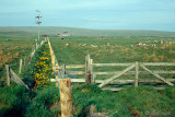 Shetland landscape - Shetland landschap