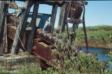 Gold Dredge nr 5