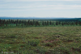 Landscape along the Nome-Council road - Landschap langs de Nome-Council weg