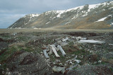 Original Settlement - Oorspronkelijke nederzetting