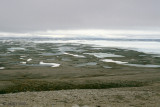 Mount Pelly