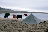 Tundra south of Mount Pelly - Toendra ten zuiden van Mount Pelly