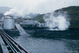 Whaling Station