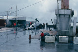 Whaling Station