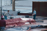 Whaling Station