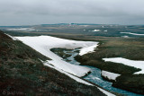 Lodnaver - Kjlkaver