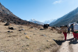 Highway from Langtang to Kyanjing Gompa