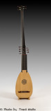 15th. Century French Theorbo. Front view.