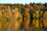 Autumn at the river Drava dsc_1322DTxpb