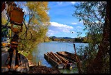 Work on the river Drava   DSC_0190gpb