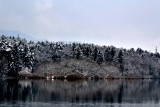 Reflection along the Drava river  DSC_0095